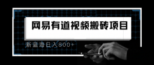 8月有道词典最新蓝海项目,视频搬运日入800+-高华