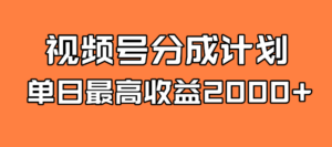 全新蓝海 视频号掘金计划 日入2000+-高华