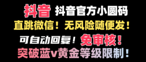 抖音二维码直跳微信技术！站内随便发不违规！！-高华