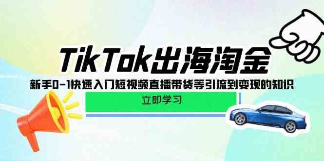 TikTok出海淘金,新手0-1快速入门短视频直播带货等引流到变现的知识-高华
