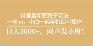 (10766期)抖音最新野路子玩法,一单35,小白一部手机即可操作,,日入3000+,闷…-高华