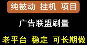 【稳定挂机】oneptp出海广告联盟挂机项目,每天躺赚几块钱,多台批量多赚些-高华