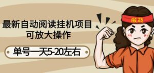 最新自动阅读挂机项目,单号一天5-20左右可放大操作【详细教程+挂机脚本】-高华