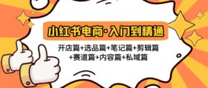 小红书电商入门到精通 开店篇+选品篇+笔记篇+剪辑篇+赛道篇+内容篇+私域篇-高华
