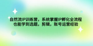 自然流IP训练营,系统掌握IP孵化全流程,也能学到选题,剪辑,账号运营经验-高华