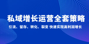 私域增长运营全套策略:引流、留存、转化、裂变 快速实现高利润增长-高华