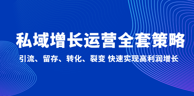 私域增长运营全套策略:引流、留存、转化、裂变 快速实现高利润增长-高华
