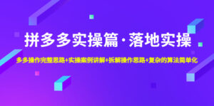 拼多多实操篇·落地实操 完整思路+实操案例+拆解操作思路+复杂的算法简单化-高华