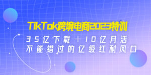 TikTok跨境电商2023特训:35亿下载+10亿月活,不能错过的亿级红利风口-高华
