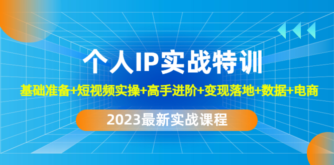 2023个人IP实战特训:基础准备+短视频实操+高手进阶+变现落地+数据+电商-高华