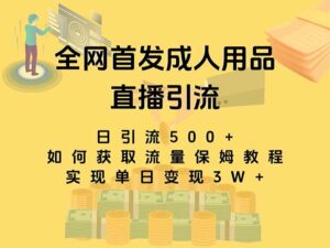 最新全网独创首发,成人用品直播引流获客暴力玩法,单日变现3w保姆级教程-高华
