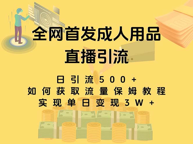 最新全网独创首发,成人用品直播引流获客暴力玩法,单日变现3w保姆级教程-高华