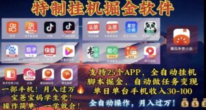 (10703期)月入过万 24小时全自动无脑挂机,操作简单!-高华