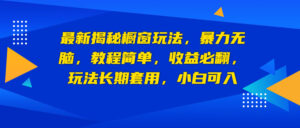 最新揭秘橱窗玩法,暴力无脑,收益必翻,玩法长期套用,小白可入-高华