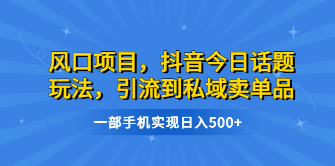 风口项目,抖音今日话题玩法,引流到私域卖单品,一部手机实现日入500+-高华