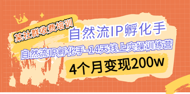 某社群收费培训:自然流IP 孵化手-14天线上实操训练营 4个月变现200w-高华