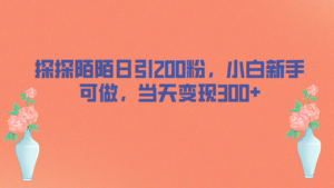 探探陌陌日引200粉,小白新手可做,当天就能变现300+-高华