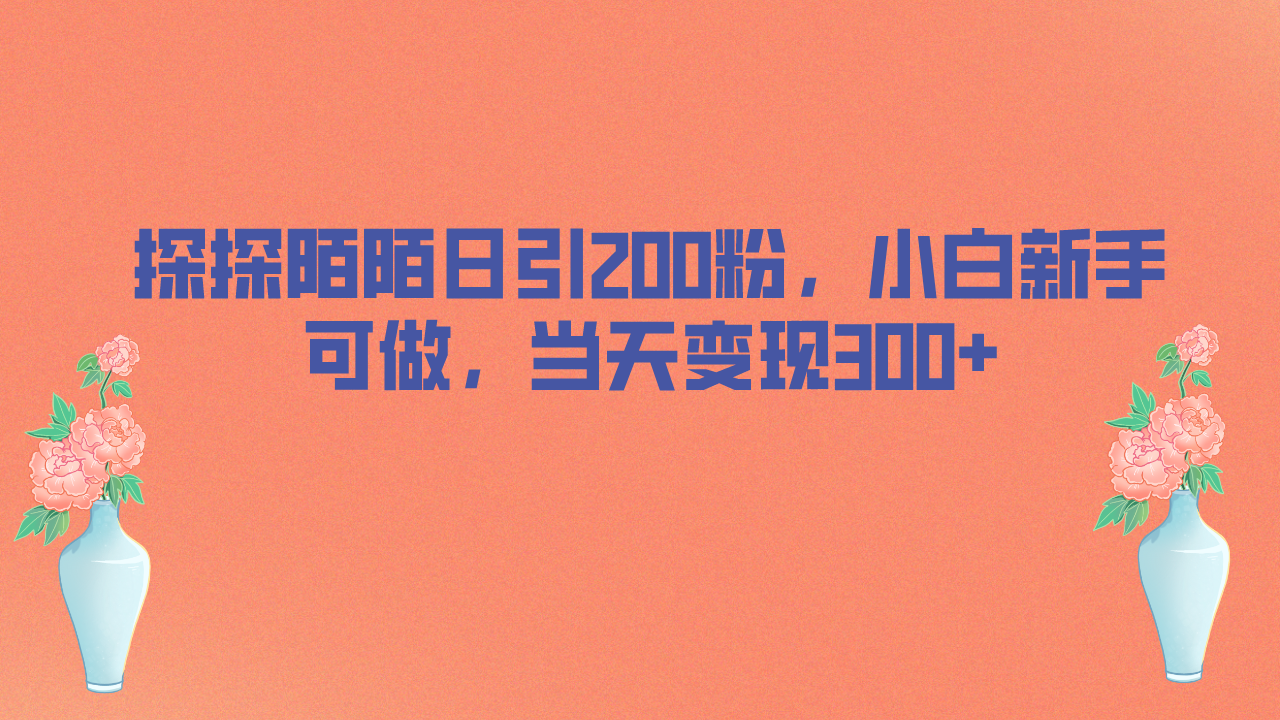 探探陌陌日引200粉，小白新手可做，当天就能变现300+-高华