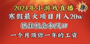 2024年寒假爆火项目,小游戏直播月入20w+,学会了之后你将翻身-高华