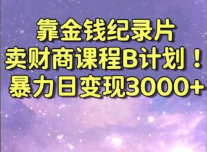 靠金钱纪录片卖财商课程B计划!暴力日变现3000+,喂饭式干货教程!-高华