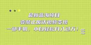 最新蓝海项目,靠禁止废话视频变现,一部手机,小白轻松月入过万!-高华