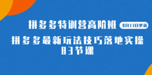 2023拼多多·特训营高阶班【9月19日更新】拼多多最新玩法技巧落地实操-83节-高华