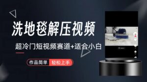 超冷门抖音短视频赛道-清洗地毯解压视频-简单无脑怼作品(教程+素材)-高华