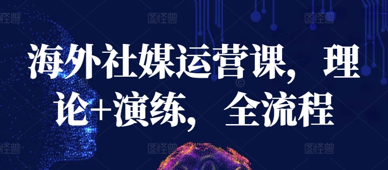 海外社媒运营课,理论+演练,全流程-高华