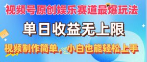 (10425期)视频号原创娱乐赛道最爆玩法,单日收益无上限,视频制作简单,小白也能…-高华