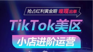 TikTok Shop美区小店进阶运营,快速掌握各流量渠道玩法,抢占红利黄金期,嘎嘎出单-高华
