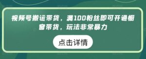 视频号搬运带货，满100粉丝即可开通橱窗带货，玩法非常暴力-高华