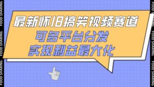 最新怀旧搞笑视频赛道,可多平台分发,实现利益最大化-高华