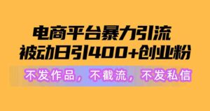 (10168期)电商平台暴力引流,被动日引400+创业粉不发作品,不截流,不发私信-高华
