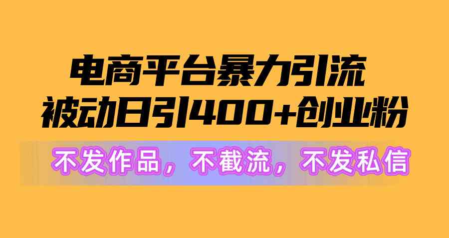 (10168期)电商平台暴力引流,被动日引400+创业粉不发作品,不截流,不发私信-高华