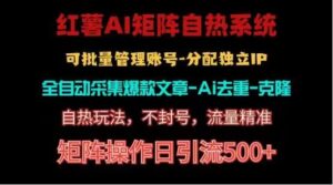 红薯矩阵自热系统,独家不死号引流玩法!矩阵操作日引流500+-高华