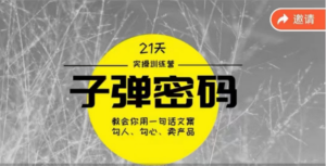 《子弹密码训练营》用一句话文案勾人勾心卖产品,21天学到顶尖文案大师策略和技巧-高华