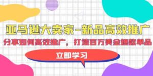 (9945期)亚马逊 大卖家-新品高效推广,分享如何高效推广,打造百万美金爆款单品-高华