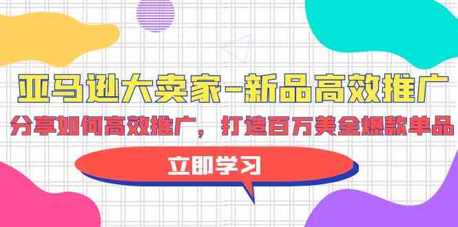 (9945期)亚马逊 大卖家-新品高效推广,分享如何高效推广,打造百万美金爆款单品-高华