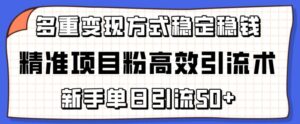 精准项目粉高效引流术,新手单日引流50+,多重变现方式稳定赚钱-高华