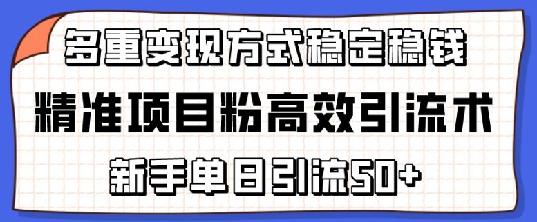 精准项目粉高效引流术,新手单日引流50+,多重变现方式稳定赚钱-高华
