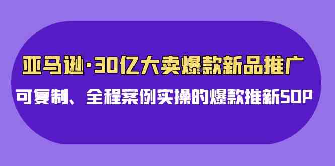 (9944期)亚马逊30亿·大卖爆款新品推广,可复制、全程案例实操的爆款推新SOP-高华