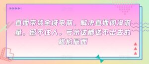 直播带货全域电商,解决直播间没流量,留不住人,亏米送都送不出去的尴尬局面-高华
