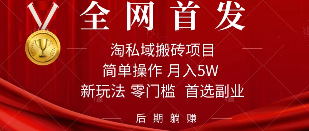 淘私域搬砖项目，利用信息差月入5W，每天无脑操作1小时，后期躺赚-高华