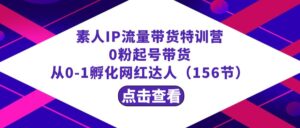 繁星·计划素人IP流量带货特训营:0粉起号带货 从0-1孵化网红达人(156节)-高华