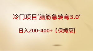 冷门项目‘脑筋急转弯3.0’轻松日入200-400+【保姆级教程】-高华