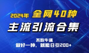 2024年全网40种暴力引流合计,做好一样就能日引100+-高华