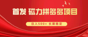 首发 磁力拼多多自撸 日入500+-高华