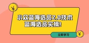 拼多多培训第33期:小众蓝海选品2.0技术-蓝海选品实操!-高华
