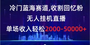 冷门蓝海赛道,收割回忆粉,无人挂机直播,单场收入轻松2000-5w+-高华