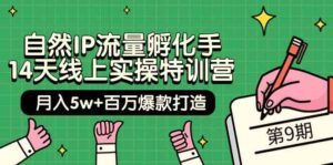 自然IP流量孵化手14天线上实操特训营【第9期】月入5w+百万爆款打造 (74节)-高华
